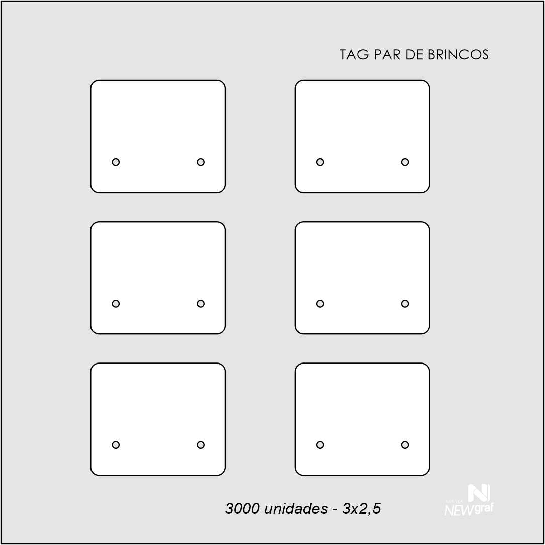 kit mockup tag par de brincos 3000_2